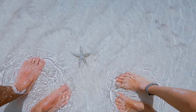 «Легкою ходою ... ..»