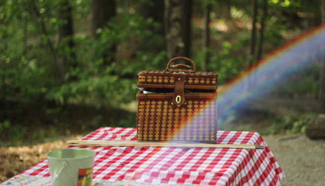 Безопасный пикник для взрослых и детей