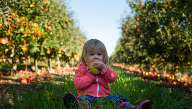 Первый прикорм - с чего начать