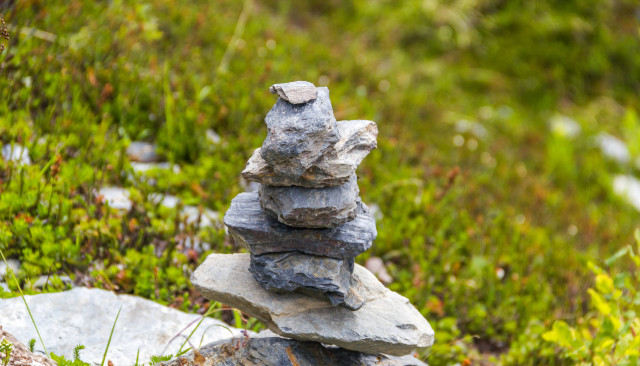 Об аутоиммунном тиреоидите.