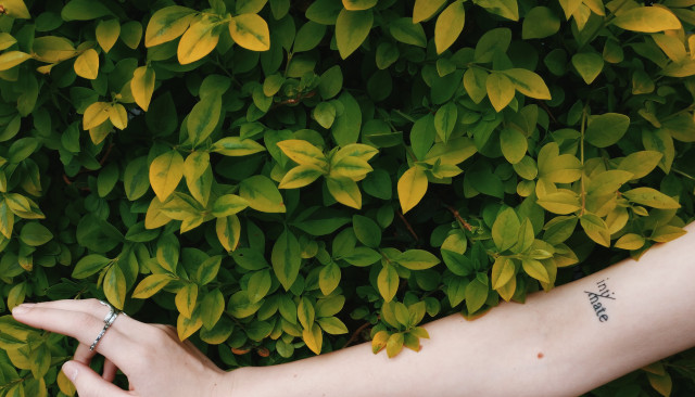 Методика дерматоскопія новоутворень шкіри