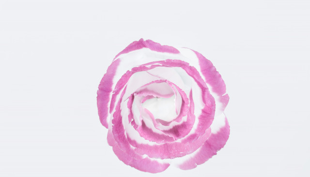 Первичная консультация гинеколога